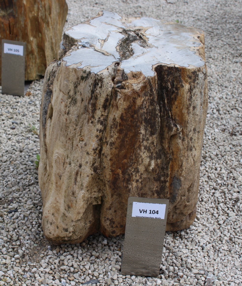 Versteinertes Holz ca. 30x25x34cm